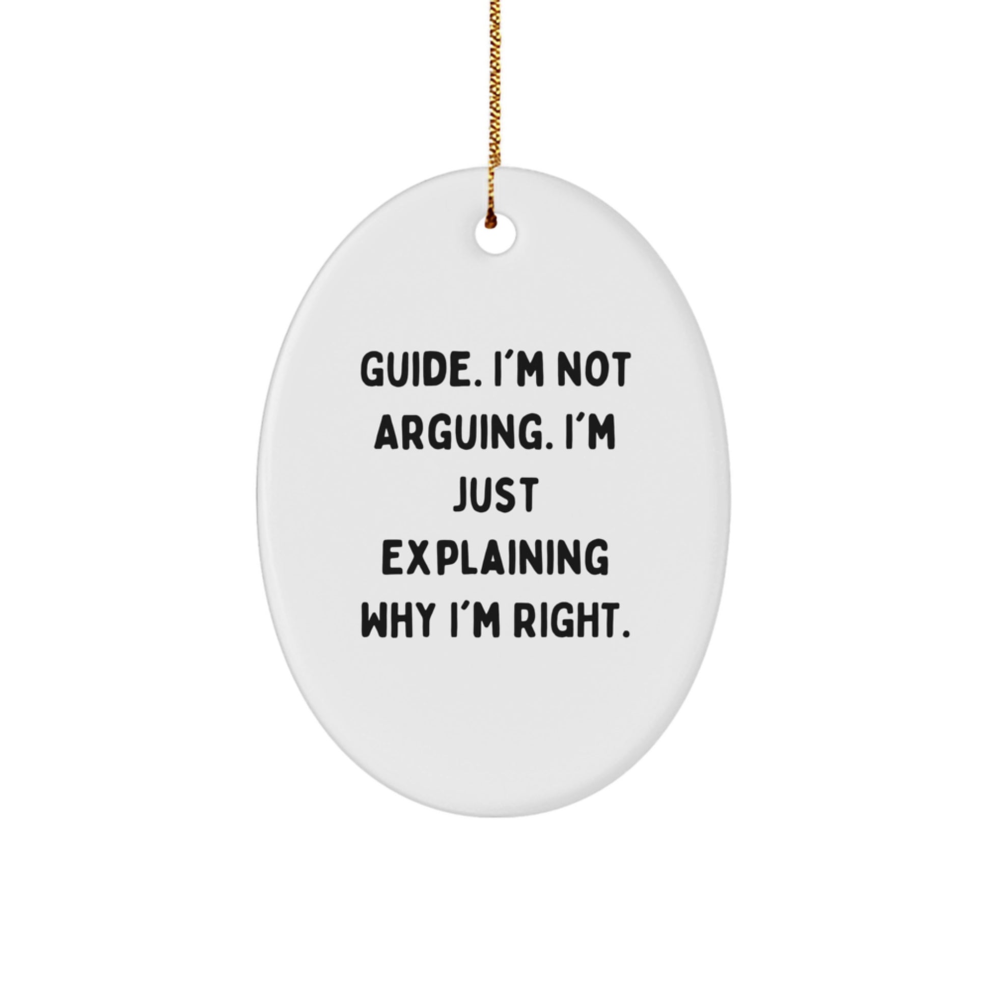 Funny Guide Gifts for Men, Unique Oval Ornament Christmas Memorable Presents from Friends, Women, Family - Image 1
