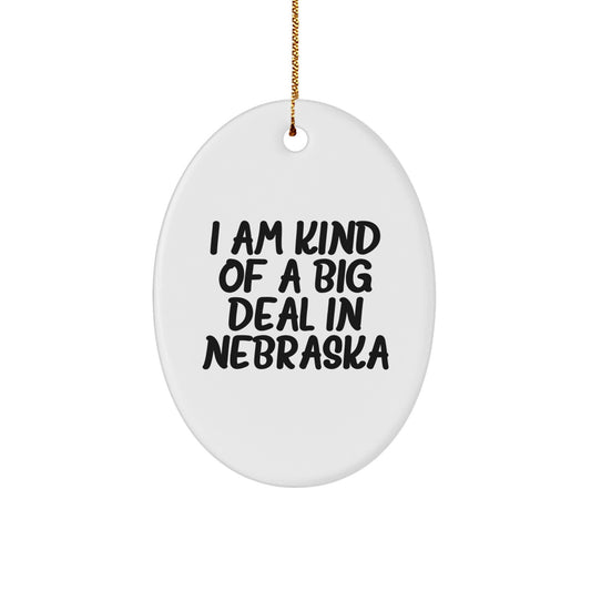 Funny Nebraska Oval Ornament Gifts from Friends and Family - I Am Kind Of A Prime Selection In Nebraska Christmas Unique - Image 1