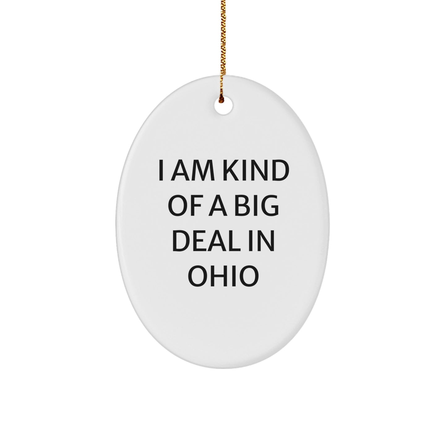 Funny Ohio Oval Ornament Gifts from Friends and Family for Ohio Men and Women Christmas Unique Gifts - Image 1