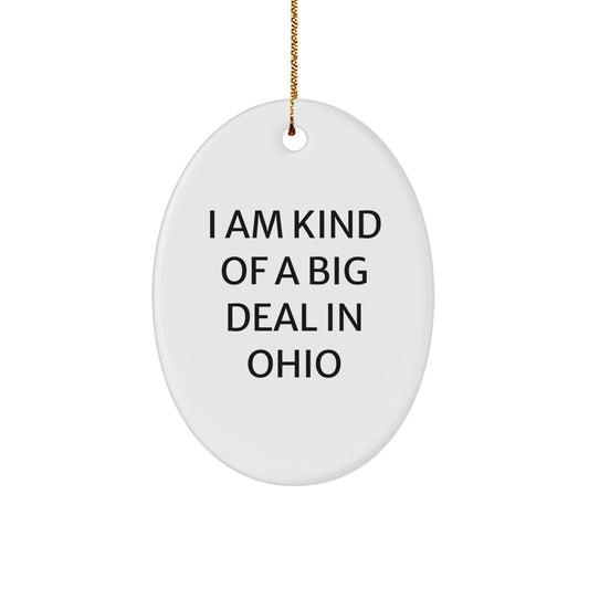 Funny Ohio Oval Ornament Gifts from Friends and Family for Ohio Men and Women Christmas Unique Gifts - Image 1