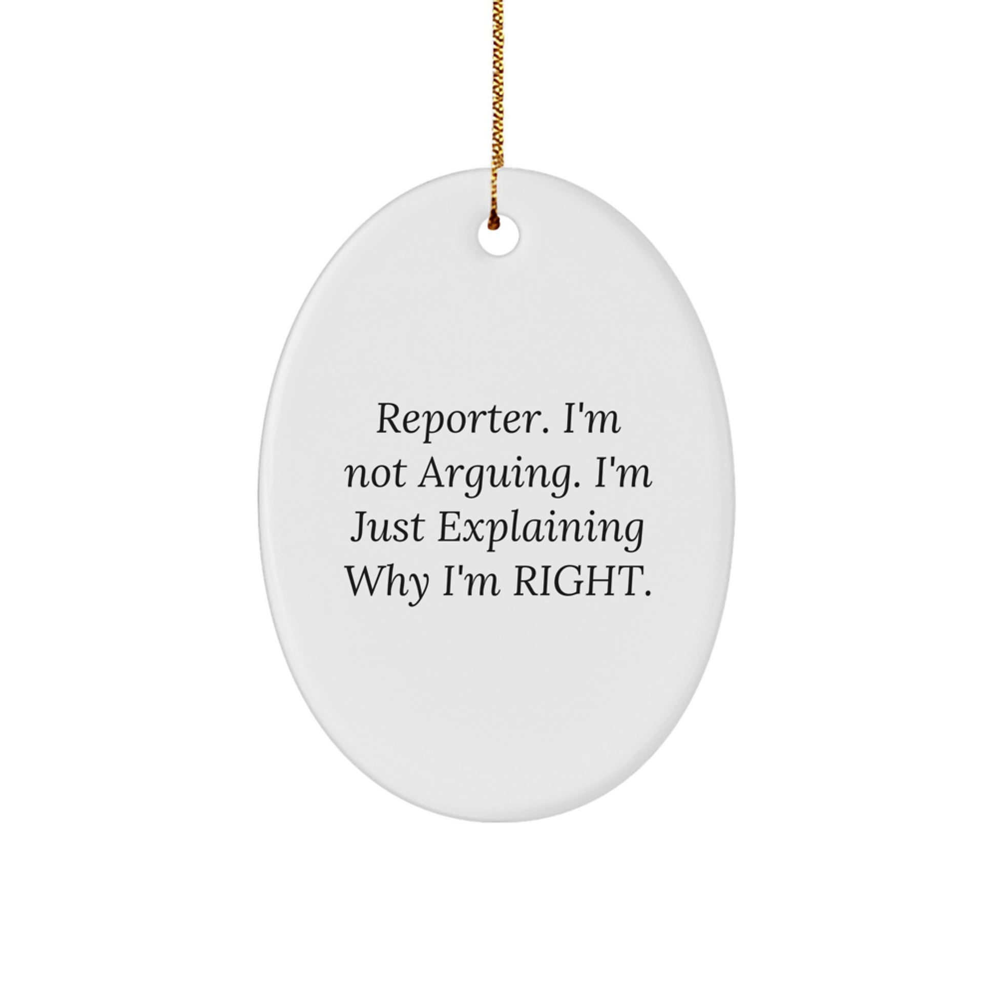 Funny Reporter Gifts from Men to Coworkers, Oval Ornament with Inspirational Quote, Unique Christmas Decorations for Office - Image 1