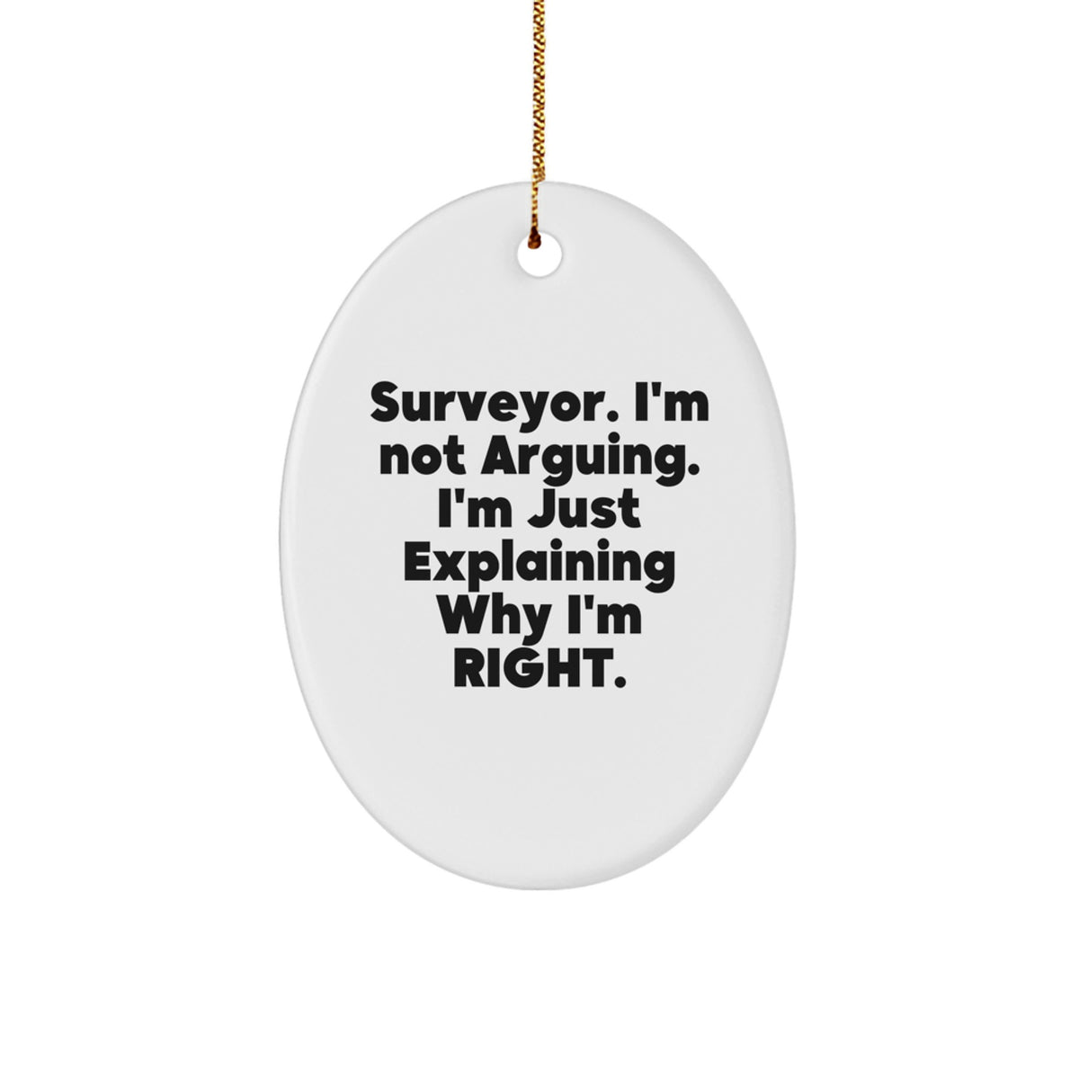 Christmas Gift Surveyor Oval Ornament for Her Present - Image 1