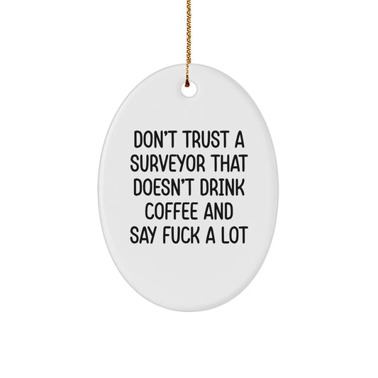 Funny Surveyor Gifts, Oval Ornament, Christmas Unique Decorations from Friends for Surveyors with Don't Trust A Surveyor - Image 1