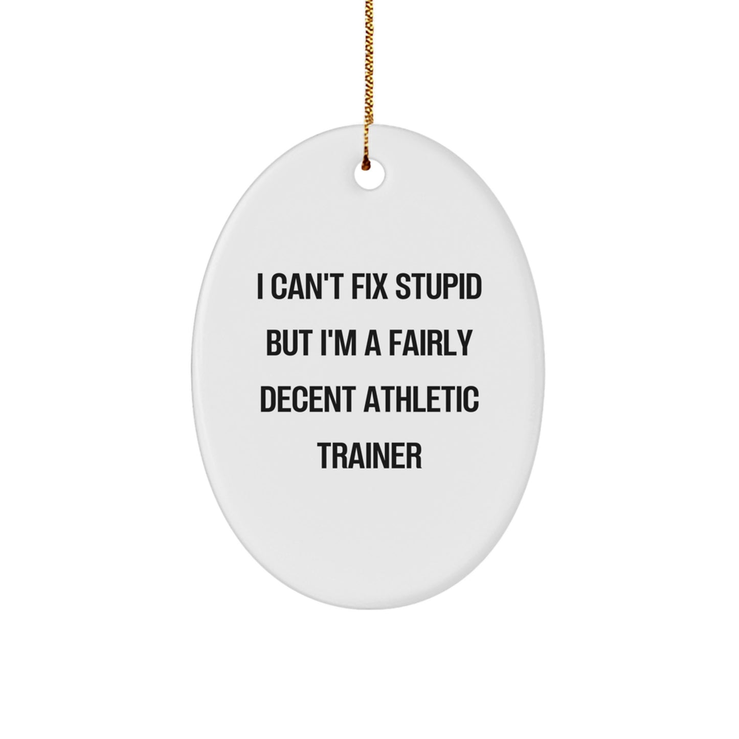 Funny Athletic Trainer Gifts from Men, for Women, Oval Ornaments I Can't Fix Stupid, Christmas Unique Gifts - Image 1