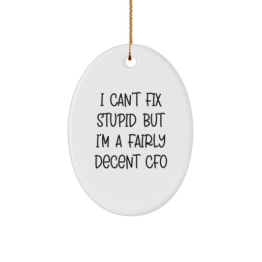 Funny CFO Gifts from Men to Friends - Oval Ornament with 'I Can't Fix Stupid But I'm A Fairly Decent CFO' Quote, Perfect for Christmas - Image 1