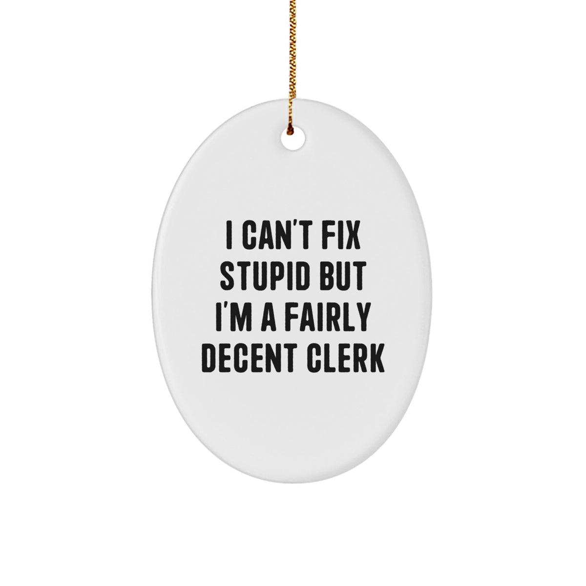 Family Treasure Clerk Christmas Ornament Gift I Can't Fix Stupid - Image 1