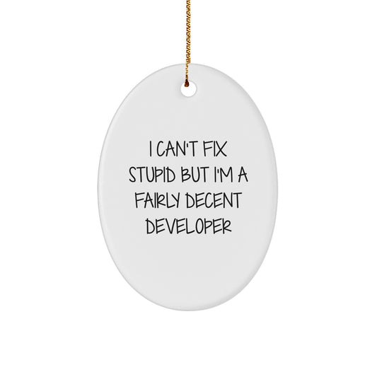 Funny Developer Oval Ornament Gifts from Friends for Developer - Image 1