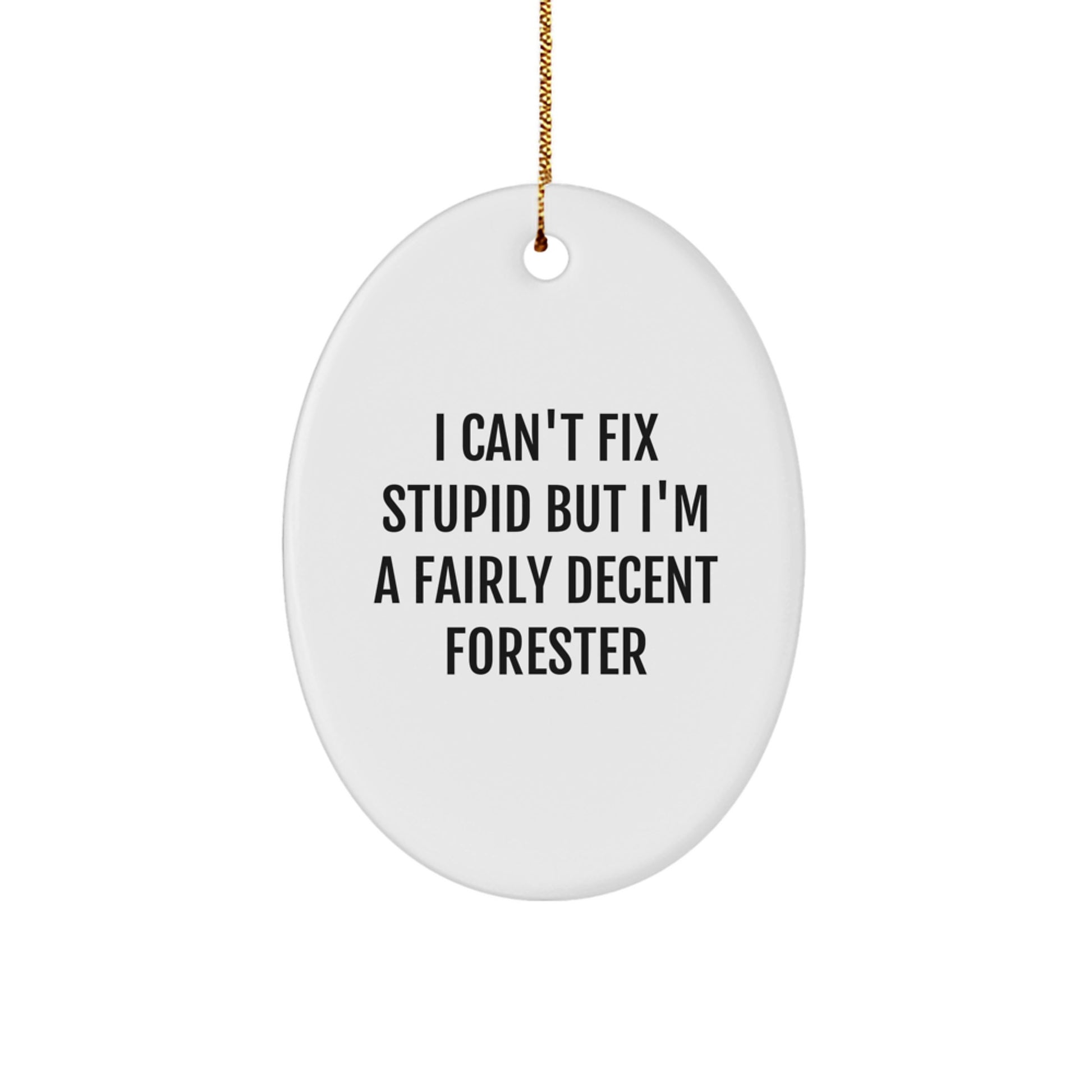 Funny Forester Gifts for Men, Oval Ornament for Forester Friends, I 'Can't Fix Stupid' Christmas Unique - Image 1