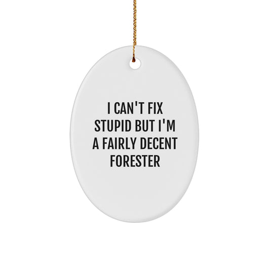 Funny Forester Gifts for Men, Oval Ornament for Forester Friends, I 'Can't Fix Stupid' Christmas Unique - Image 1