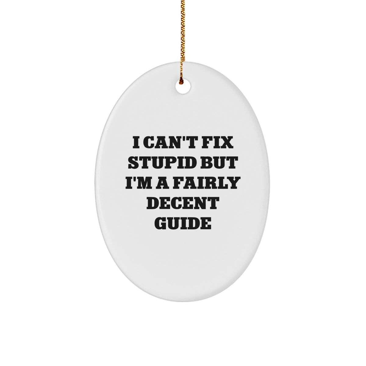 Surprise Funny Guide Christmas Ornament for Happy Kids Favorite Gift - Image 1
