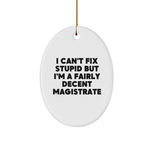 Magistrate Gifts, Funny Oval Ornament for Men, Women, Friends, Coworkers, Family - 'I Can't Fix Stupid But I'm A Fairly Decent Magistrate' Christmas Unique Gifts - Image 1