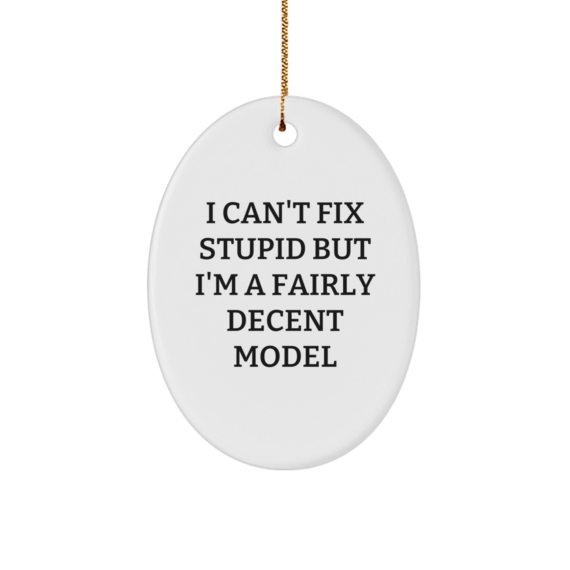 Funny Model Oval Ornament Gifts for Model Enthusiasts from Friends and Family, Unique Christmas Decorations - Image 1