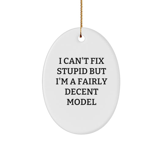 Funny Model Oval Ornament Gifts for Model Enthusiasts from Friends and Family, Unique Christmas Decorations - Image 1