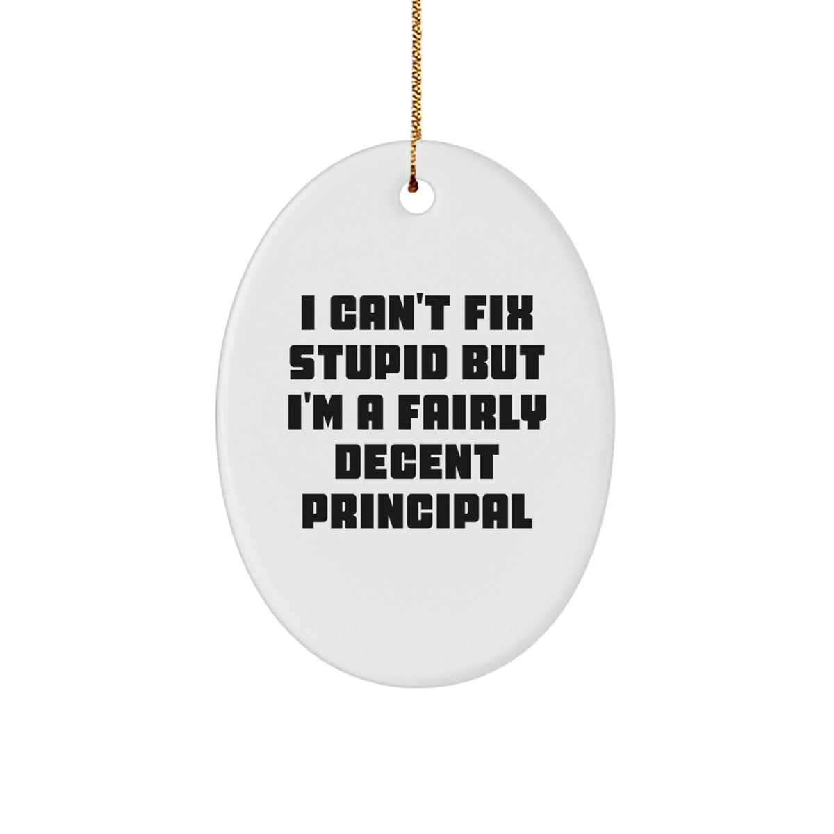 Principal Oval Ornament I Can't Fix Stupid for Family Christmas Unique Gift - Image 1
