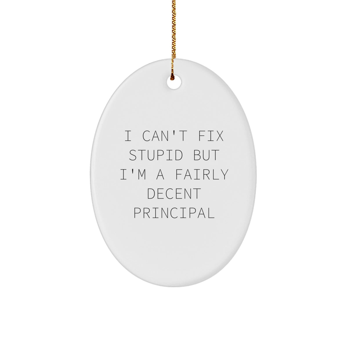 Christmas Unique Gift Principal Oval Ornament I Can't Fix Stupid Delight - Image 1