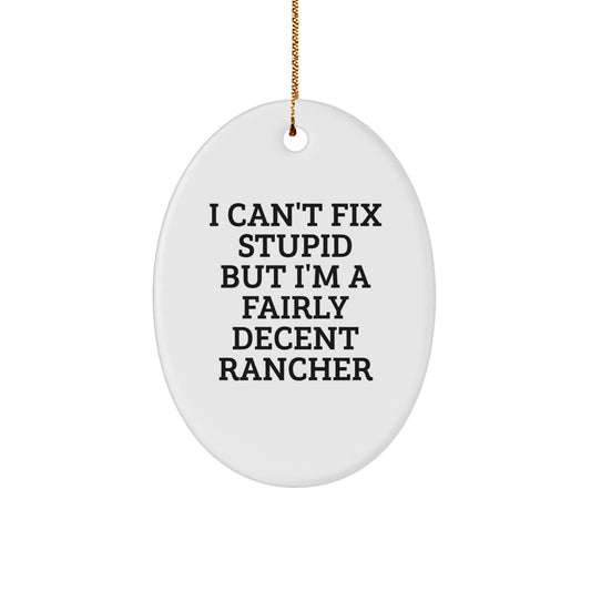 Christmas Unique Gift Rancher Ornament for Her Present – I Can't Fix Stupid - Image 1