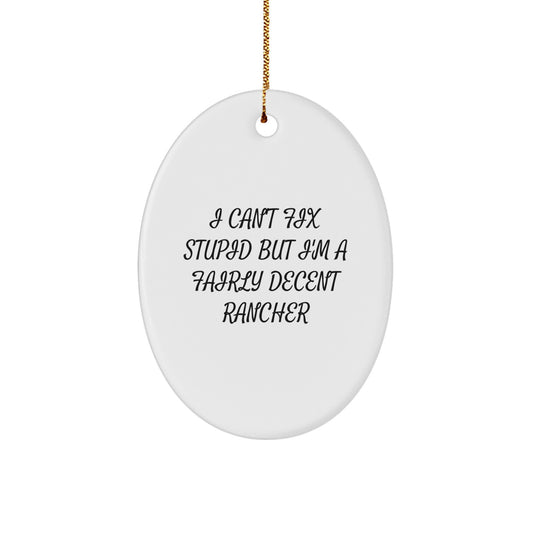 I Can't Fix Stupid Rancher Christmas Ornament for Friends Gift - Image 1