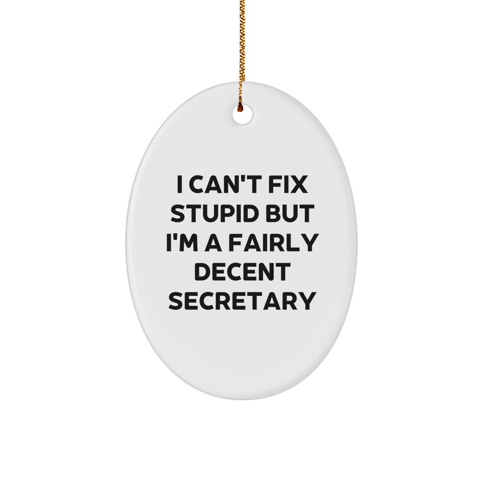 Funny Secretary Oval Ornament Gifts from Friends for Secretary, I Can't Fix Stupid But I'm A Fairly Decent Secretary - Image 1