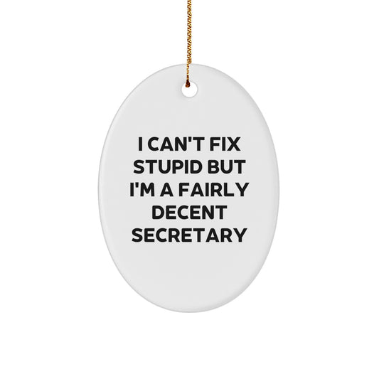 Funny Secretary Oval Ornament Gifts from Friends for Secretary, I Can't Fix Stupid But I'm A Fairly Decent Secretary - Image 1