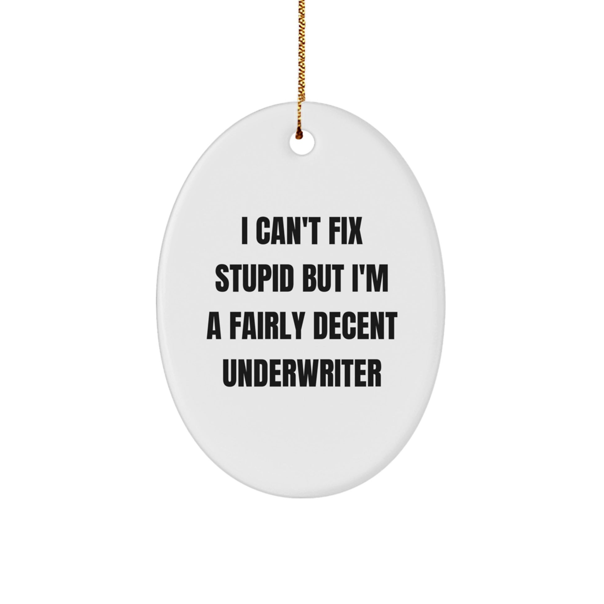 Underwriter Gifts from Friends, 'I Can't Fix Stupid But I'm A Fairly Decent Underwriter' Oval Ornament for Men, Women, Family, Christmas Unique Gifts - Image 1