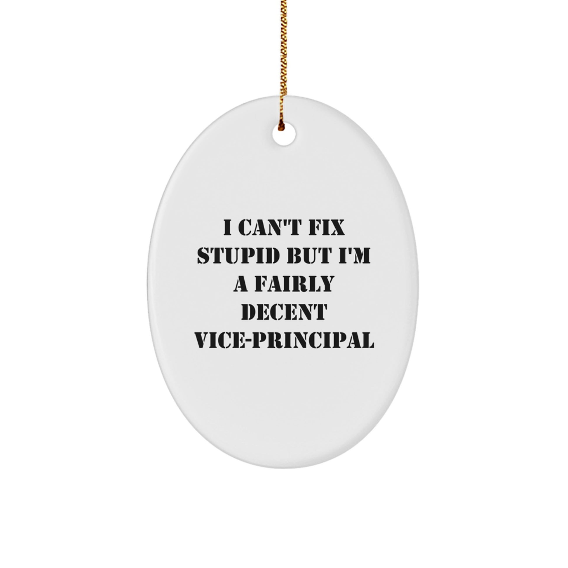 Vice-Principal Humor Oval Ornament, Gifts from Friends for Men, White Oval Shaped, 'I Can't Fix Stupid But I'm A Fairly Decent Vice-principal' Quote, Perfect for Christmas Unique Gifts - Image 1