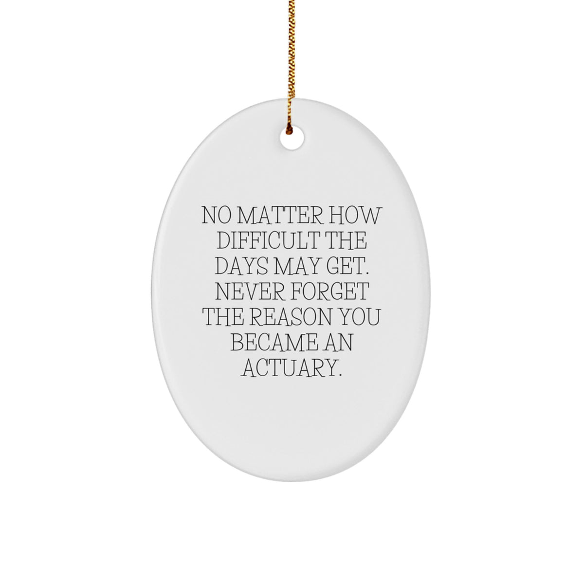 Collectible Christmas Ornament Gift for Neighbors - Inspiring Actuary - Image 1