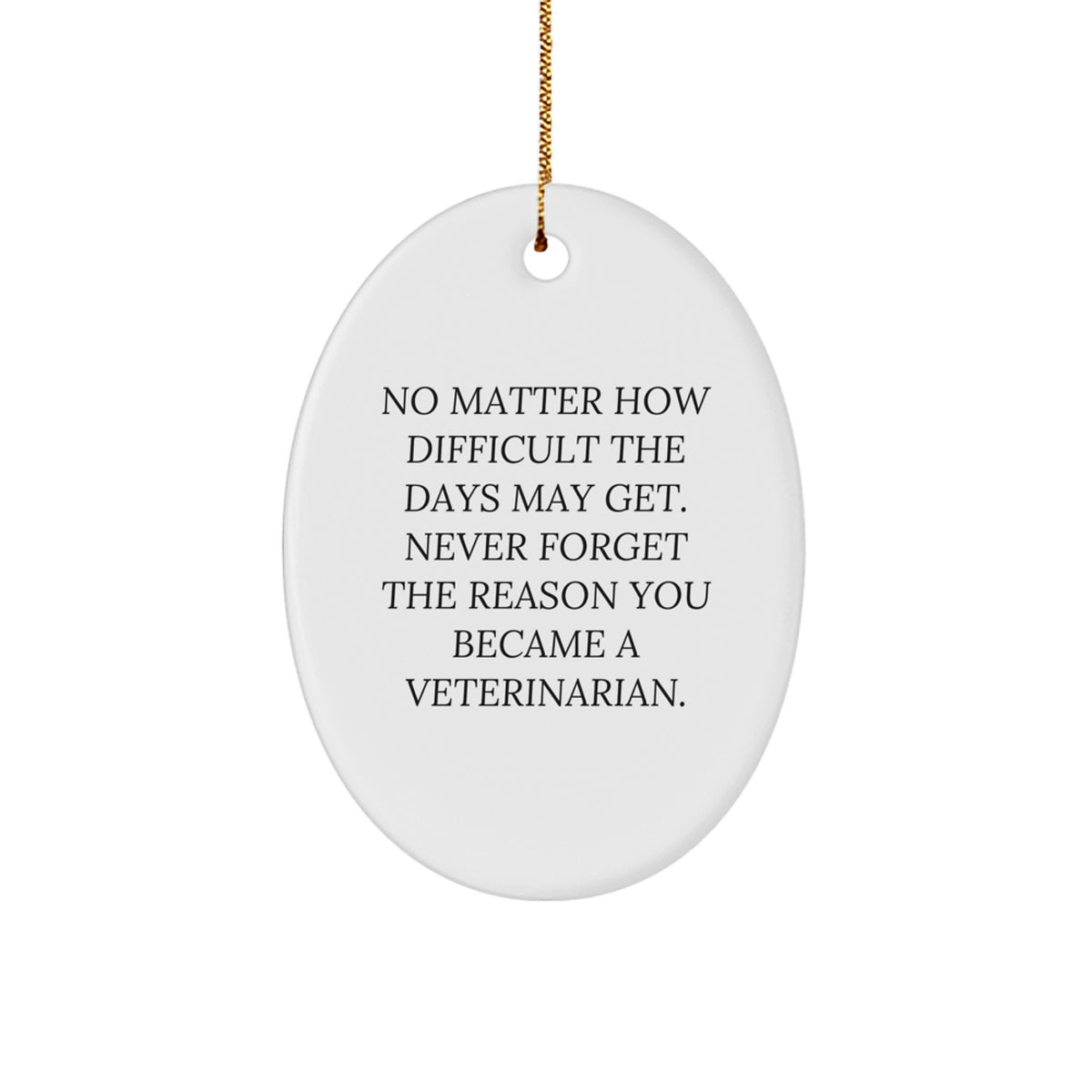 Christmas Ornament Gift for Her Thoughtful Veterinarian Present - No - Image 1