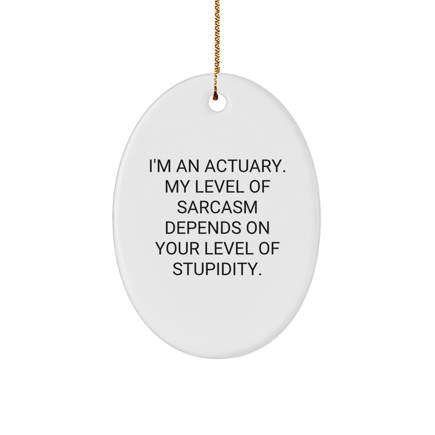 Funny Actuary Gifts for Men, Oval Ornament with Quirky Quote from Actuary, Christmas Unique Gifts from Friends to Actuary - Image 1