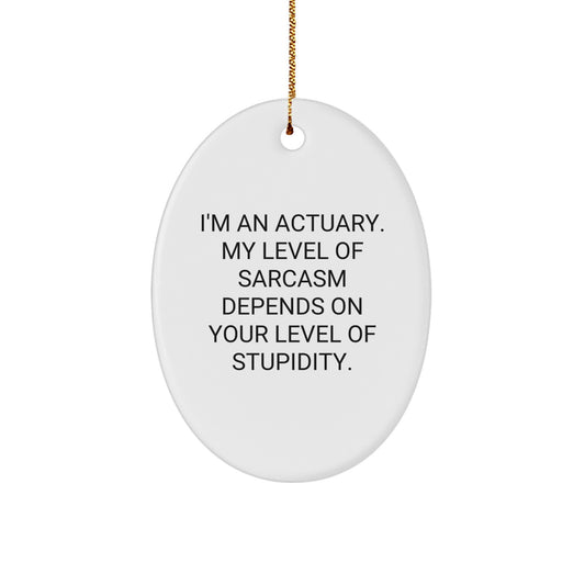 Funny Actuary Gifts for Men, Oval Ornament with Quirky Quote from Actuary, Christmas Unique Gifts from Friends to Actuary - Image 1
