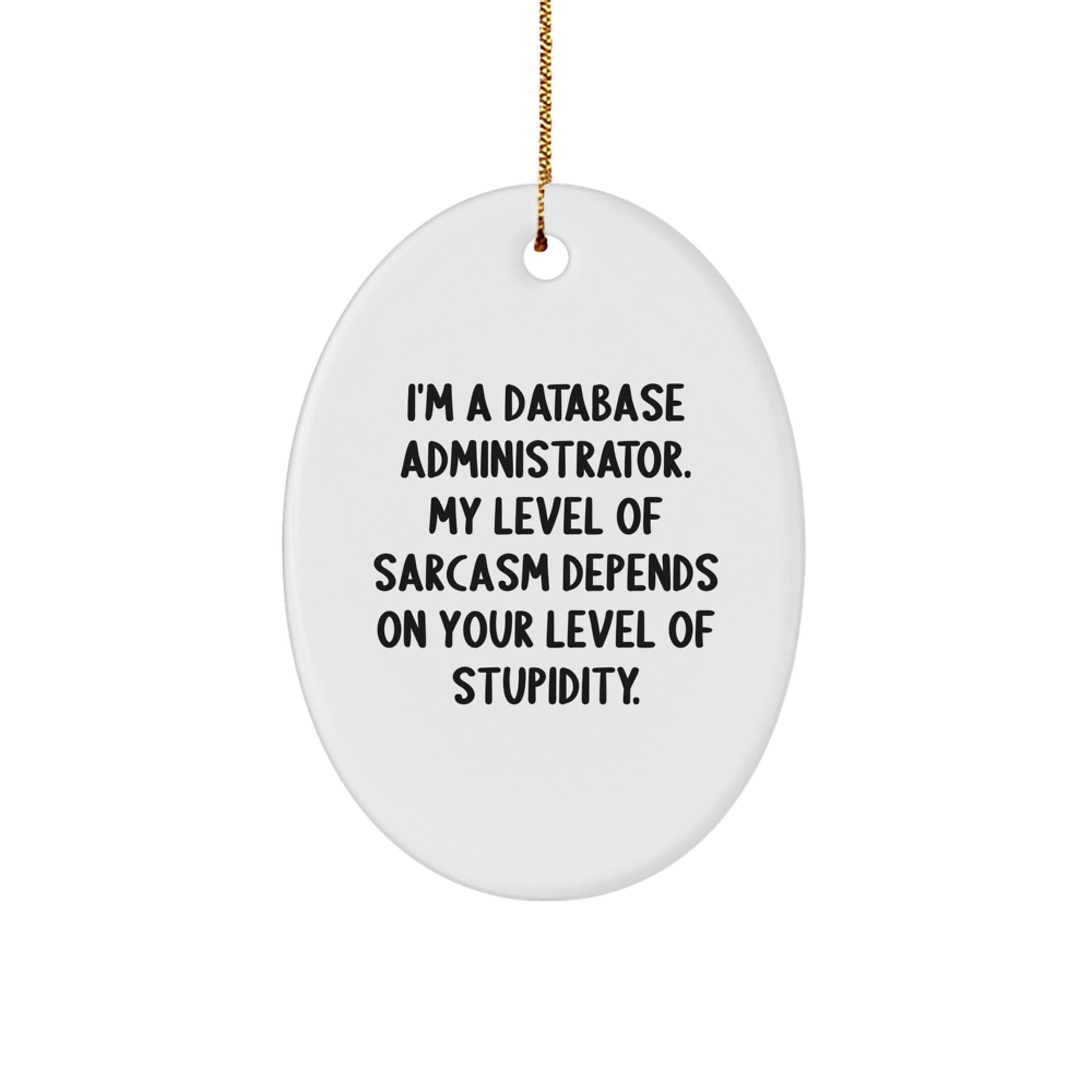 Database Administrator Gifts for Christmas - Oval Ornament with Sarcasm Quote - Gifts from Coworkers for Database Administrators - Image 1