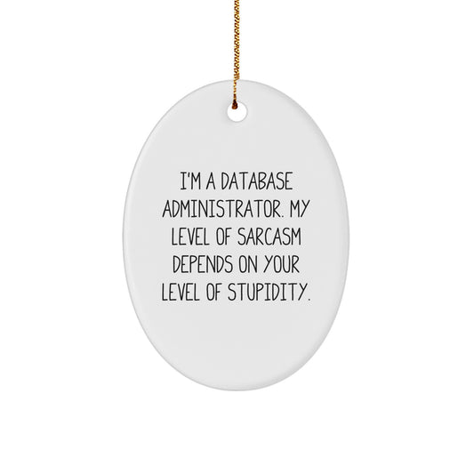 Database Administrator Gifts from Friends - Oval Ornament with Funny Quote - Image 1