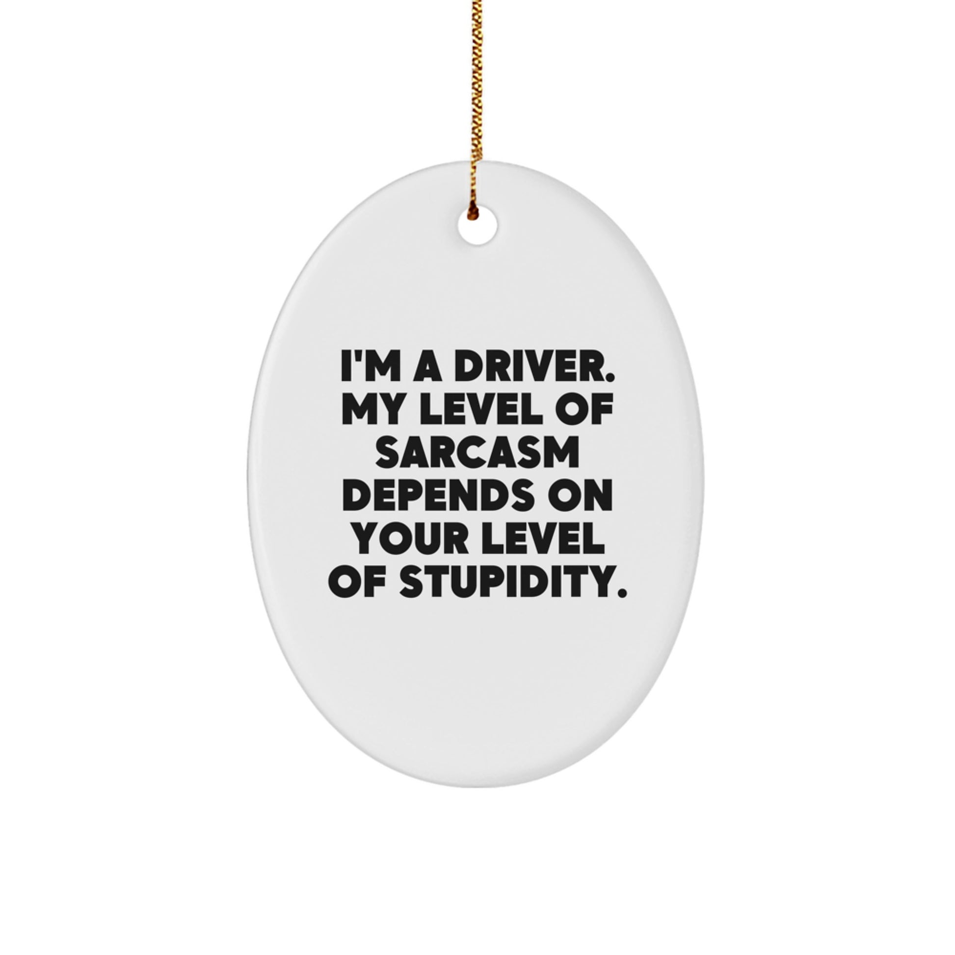 Funny Driver Gifts for Men - 'I'm a Driver, My Level of Sarcasm Depends on Your Level of Stupidity' Oval Ornament, Christmas Unique Gifts from Friends and Family - Image 1