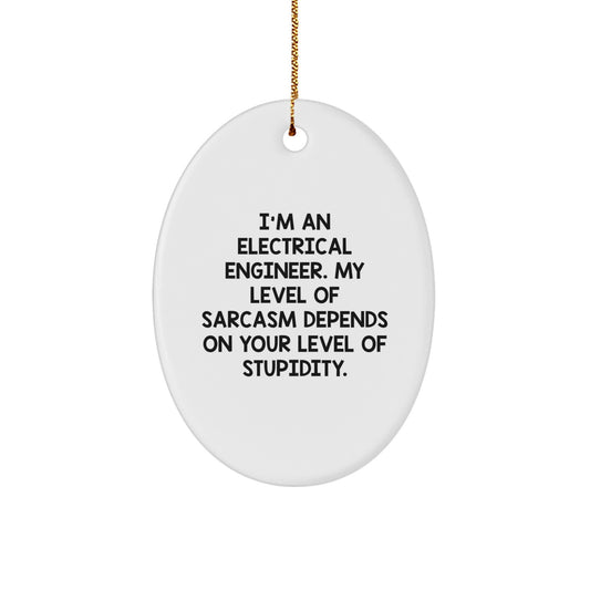 Funny Electrical Engineer Gifts for Christmas, Oval Ornament with Sarcasm Quote, Gift from Men to Coworkers or Friends, Electrical Engineer Unique Ornament for Office Decor - Image 1