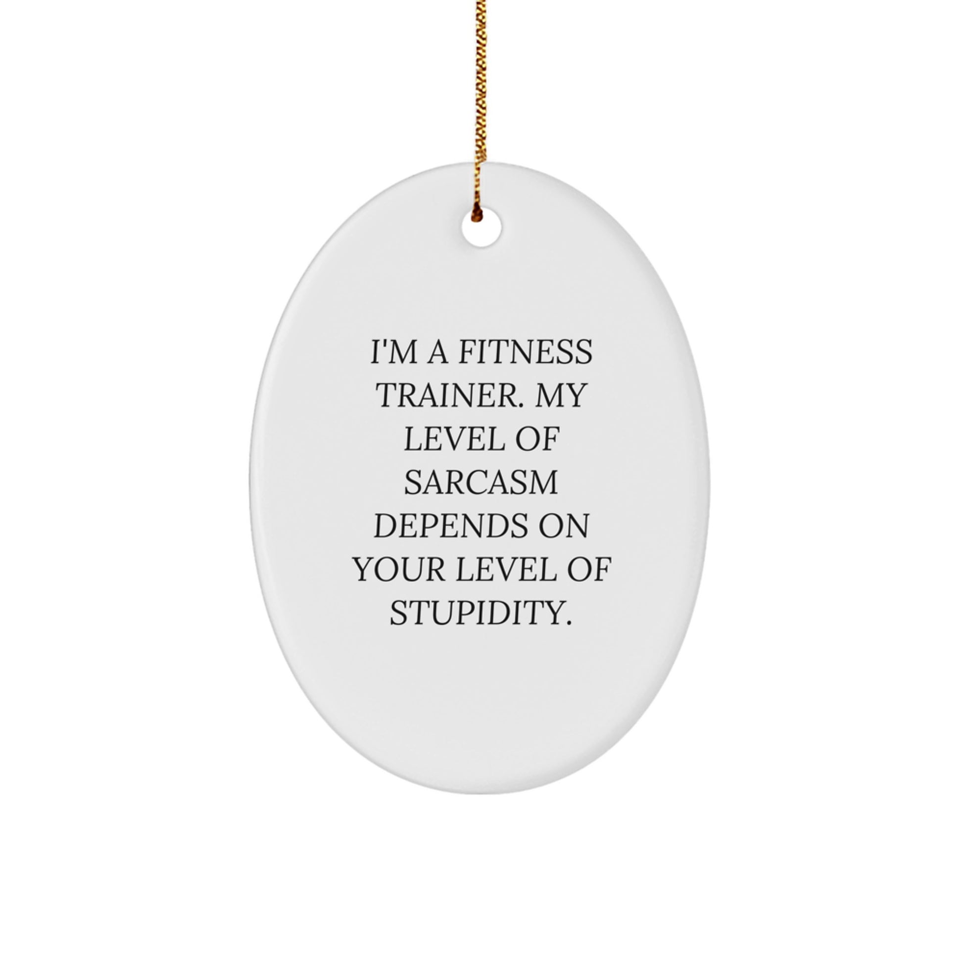 Fitness Trainer Gifts from Friends - I'm A Fitness Trainer. My Level Of Sarcasm Depends On Your Level Of Stupidity., Oval Ornament for Men, Women, or Coworkers, Christmas Unique Gift - Image 1
