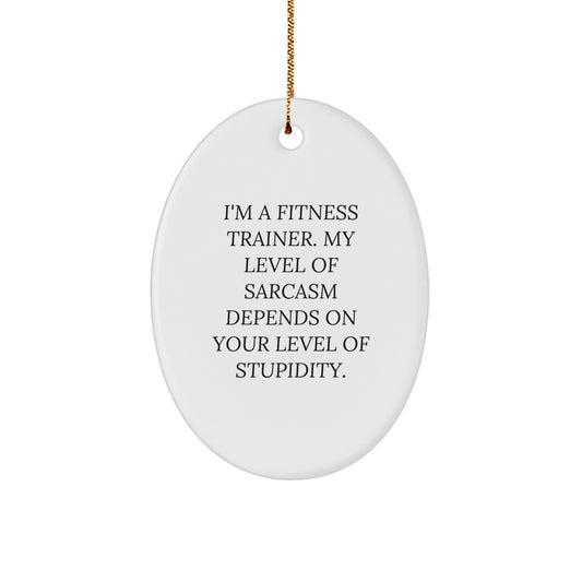 Fitness Trainer Gifts from Friends - I'm A Fitness Trainer. My Level Of Sarcasm Depends On Your Level Of Stupidity., Oval Ornament for Men, Women, or Coworkers, Christmas Unique Gift - Image 1