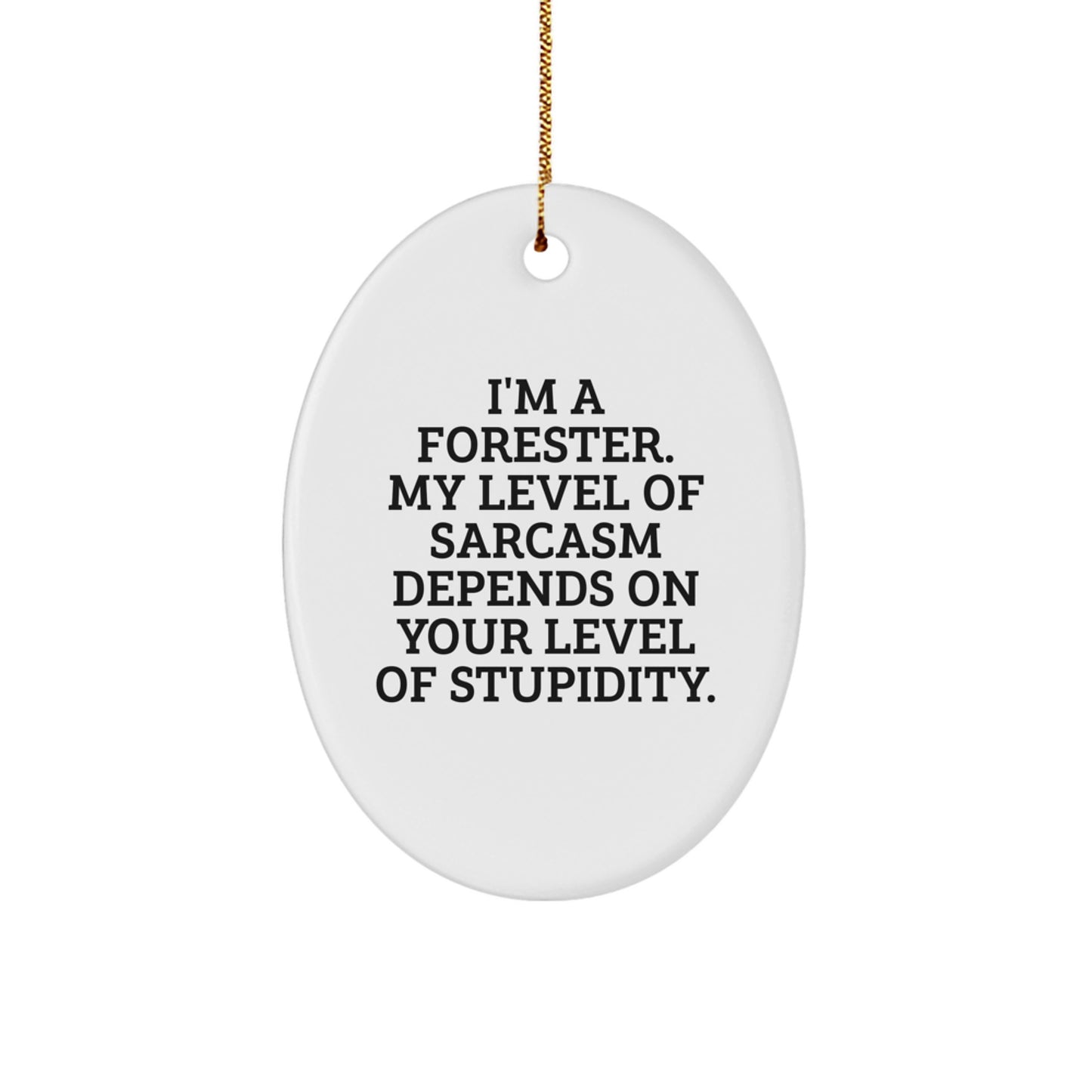 Funny Forester Gifts for Men - Oval Ornament with Sarcasm Quote, Gifts from Friends, Christmas Unique Gifts - Image 1