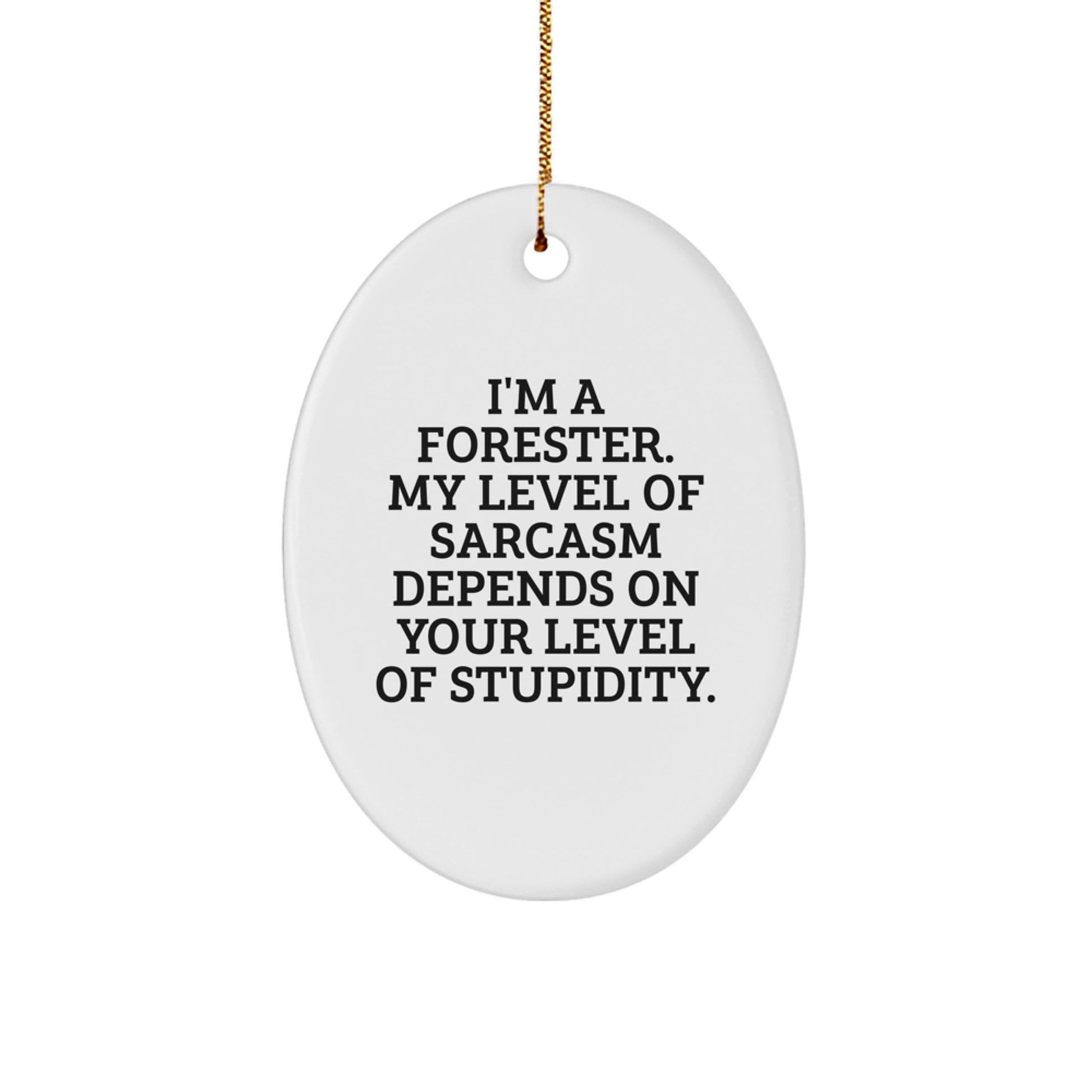 Funny Forester Gifts for Men - Oval Ornament with Sarcasm Quote, Gifts from Friends, Christmas Unique Gifts - Image 1