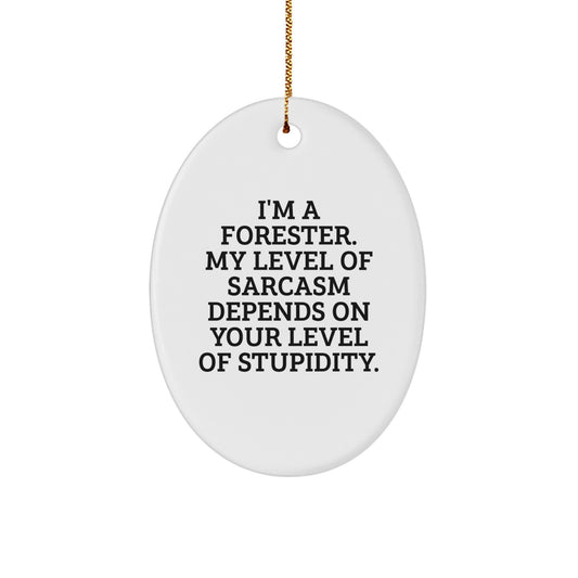 Funny Forester Gifts for Men - Oval Ornament with Sarcasm Quote, Gifts from Friends, Christmas Unique Gifts - Image 1