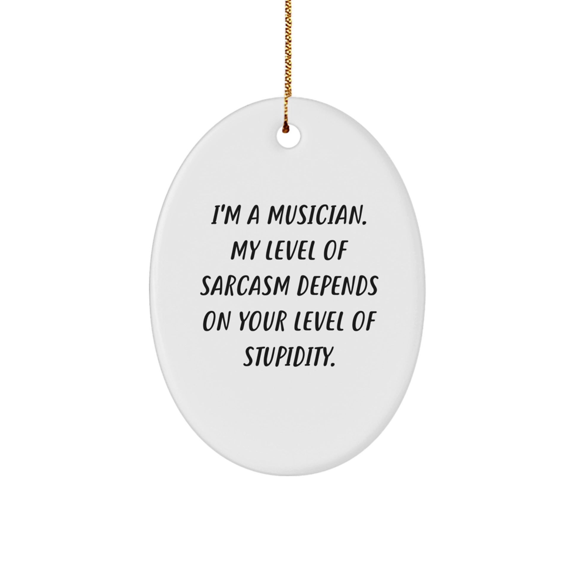 Musician Oval Ornament Gifts from Friends and Family - Funny Sarcasm Quote for Christmas Unique Decor - Image 1