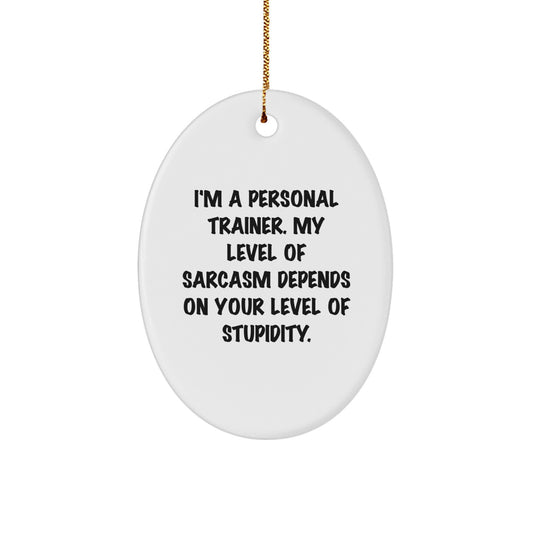 Personal Trainer Oval Ornament Funny Sarcasm Gift for Men, Women, Friends, Coworkers, Family - Christmas Unique Decorations - Image 1