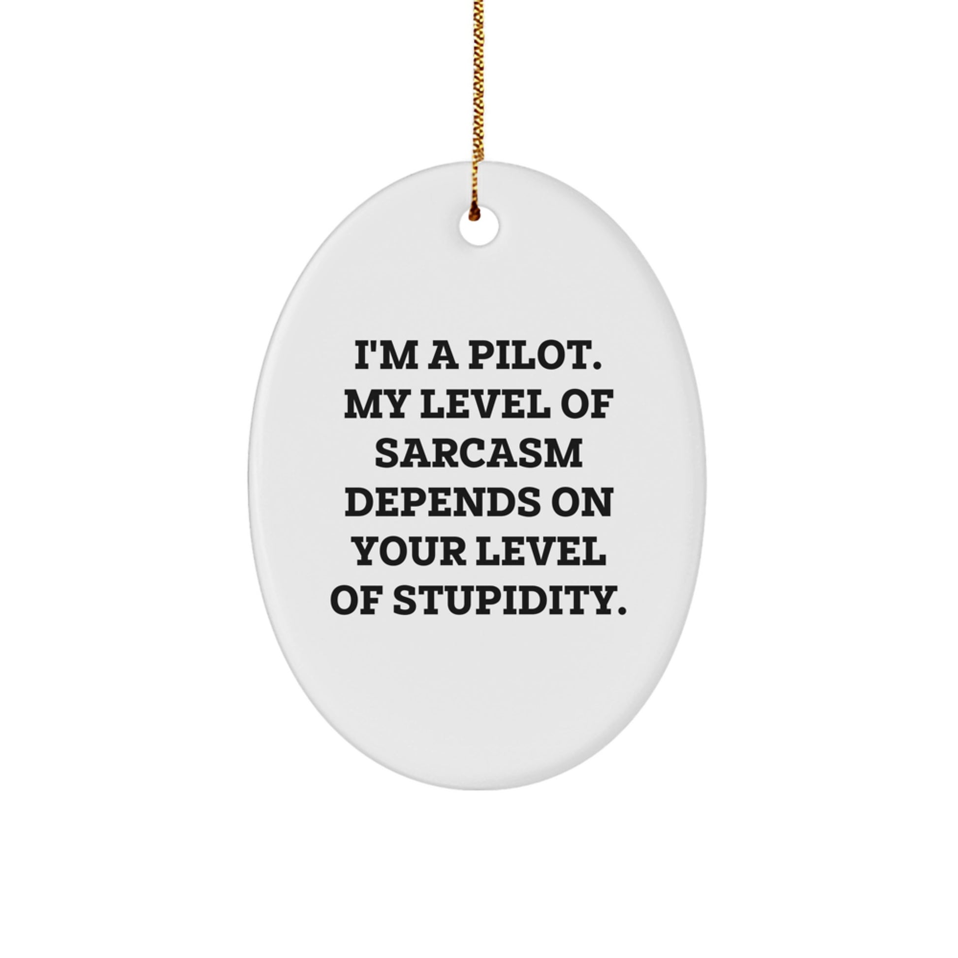 Funny Pilot Oval Ornament Gifts from Men to Friends, Great Unique Christmas Unique Gifts for Pilot Enthusiasts, Oval Shaped Decorative Home Decor - Image 1