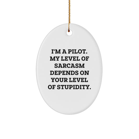Funny Pilot Oval Ornament Gifts from Men to Friends, Great Unique Christmas Unique Gifts for Pilot Enthusiasts, Oval Shaped Decorative Home Decor - Image 1