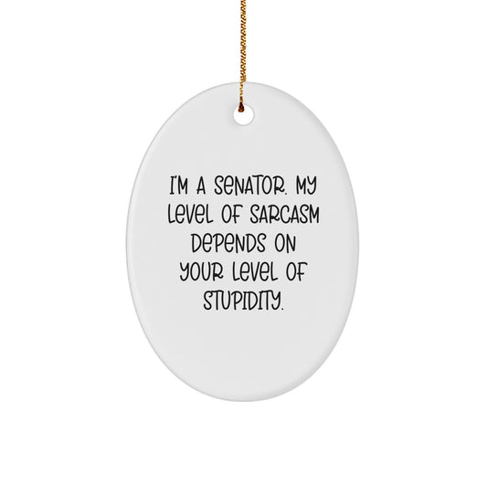 Senator Oval Ornament Funny Quote Gifts from Friends for Christmas - Image 1