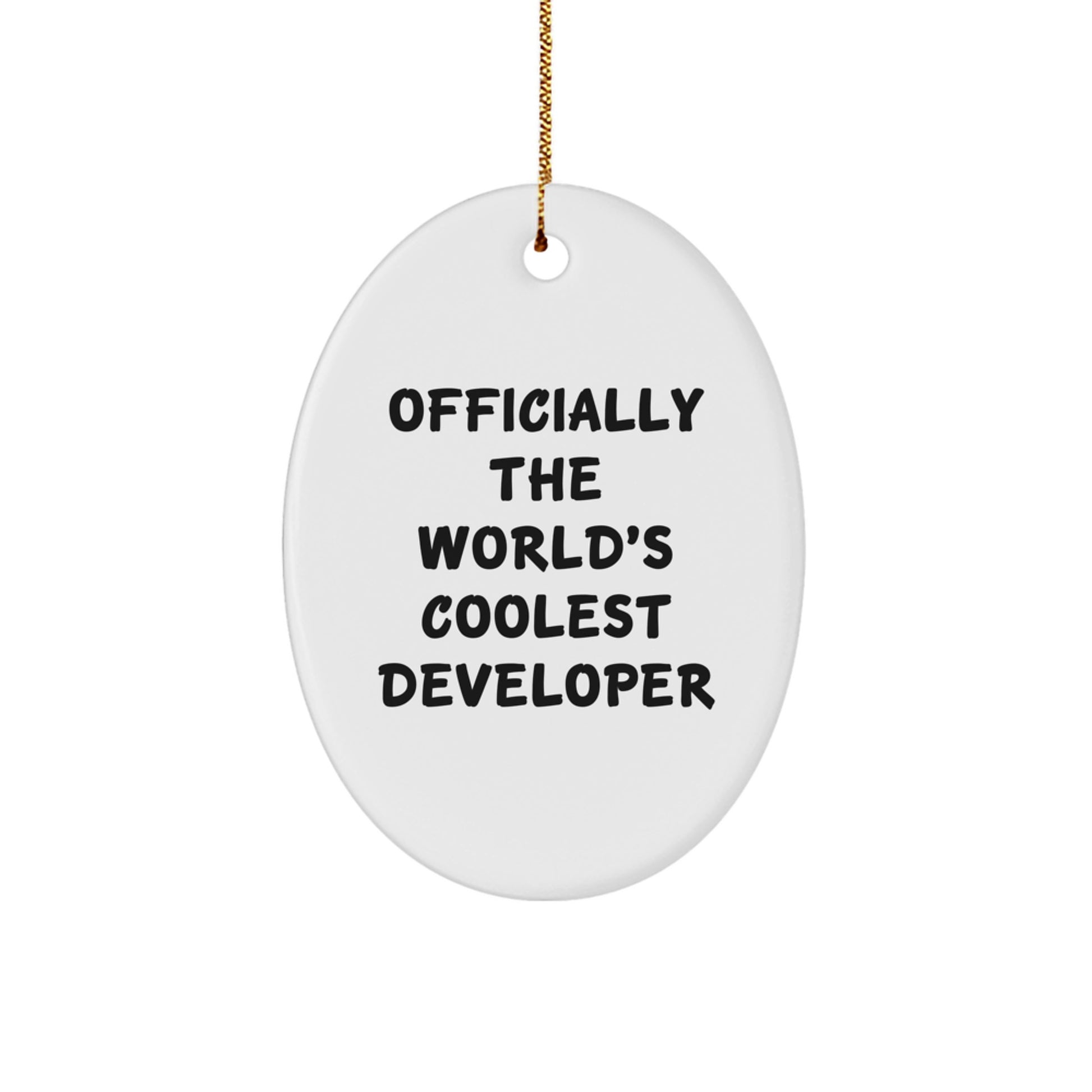 Developer Gifts from Friends, Gifts for Developers, Officially The World's Coolest Developer Oval Ornament, Funny Christmas Unique Gift - Image 1