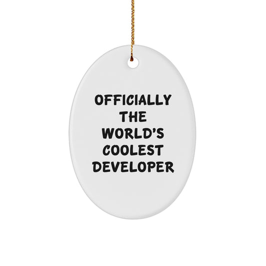 Developer Gifts from Friends, Gifts for Developers, Officially The World's Coolest Developer Oval Ornament, Funny Christmas Unique Gift - Image 1