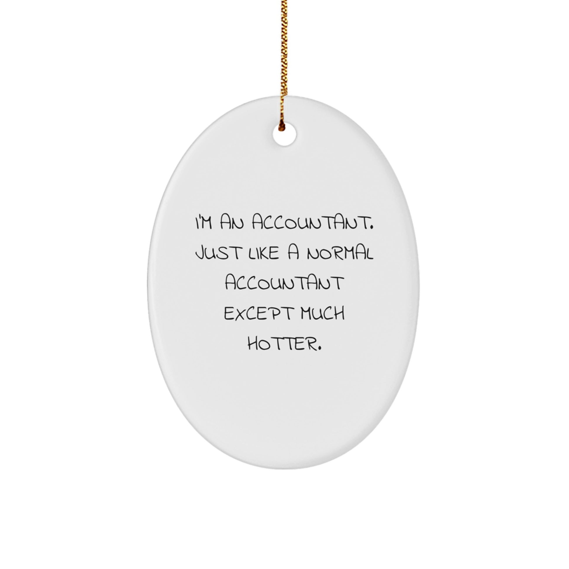Funny Accountant Gifts Oval Ornament for Men, Women, Coworkers, Family - Unique Christmas Unique Gifts from Friends - Image 1