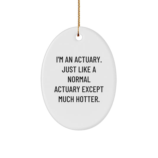 Funny Actuary Oval Ornaments, Gifts from Friends to Actuaries, Christmas Unique Gifts - Image 1