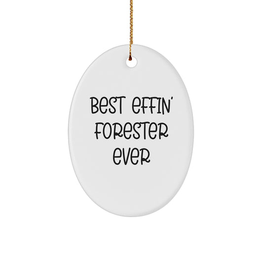 Funny Forester Oval Ornament for Friends - Gifts from Men to Forester Fans at Christmas - Image 1