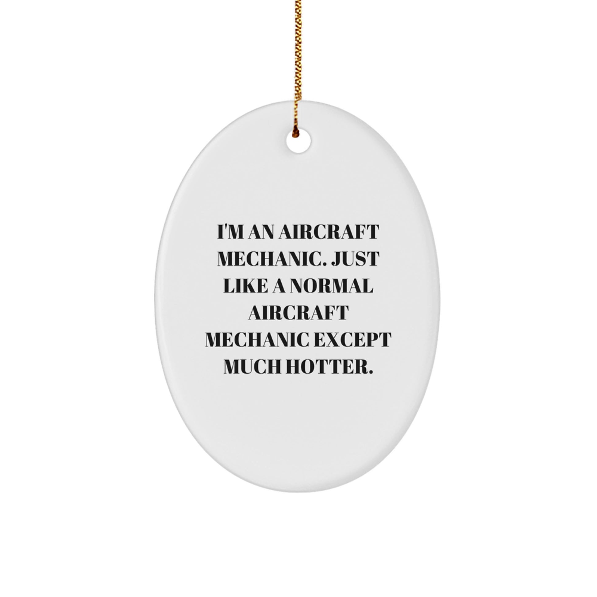 Funny Aircraft Mechanic Gifts from Men for Him - Oval Ornament, Christmas Unique Gifts for Friends, Coworkers, and Family - Image 1