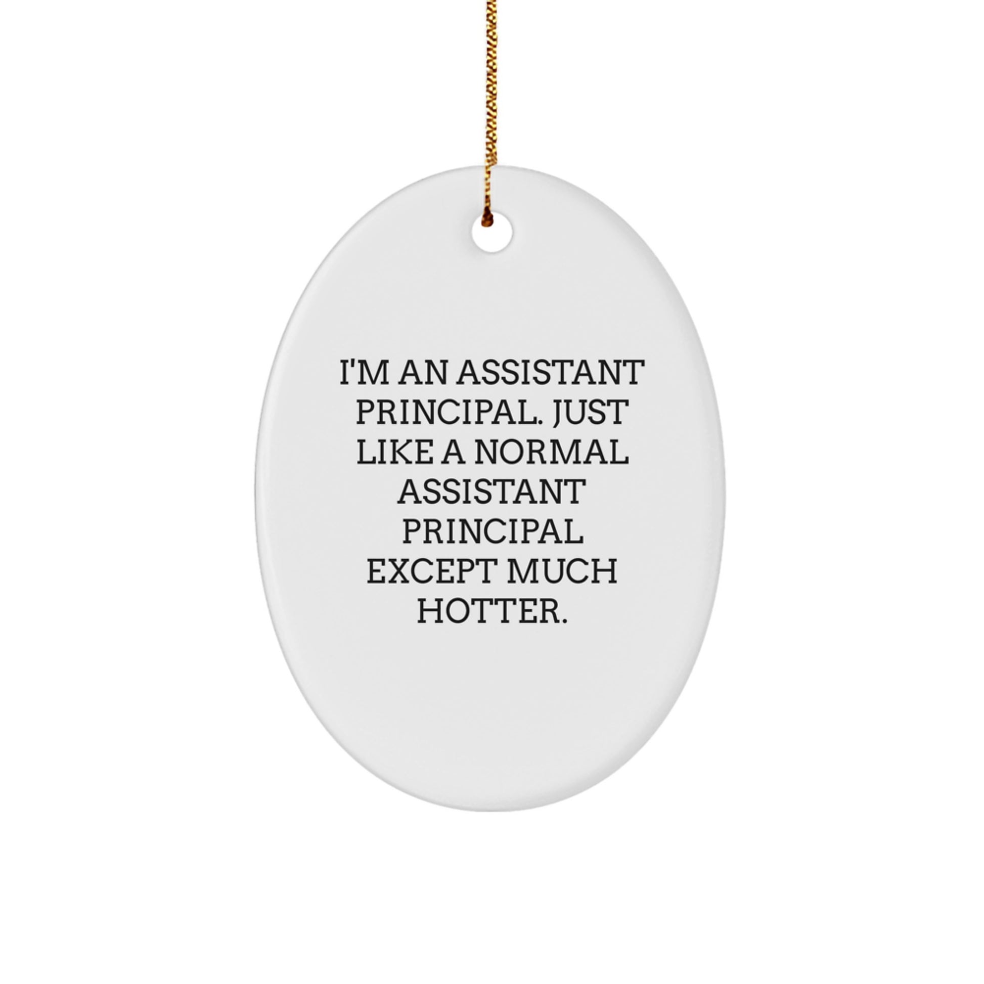 Funny Assistant Principal Oval Ornament Gifts from Friends for Assistant Principal at Christmas - Image 1